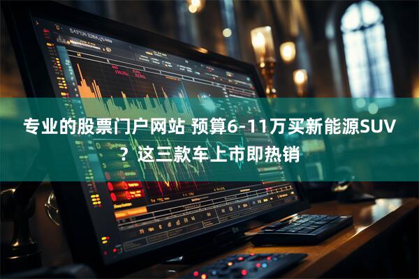 专业的股票门户网站 预算6-11万买新能源SUV?这三款车上市即热销